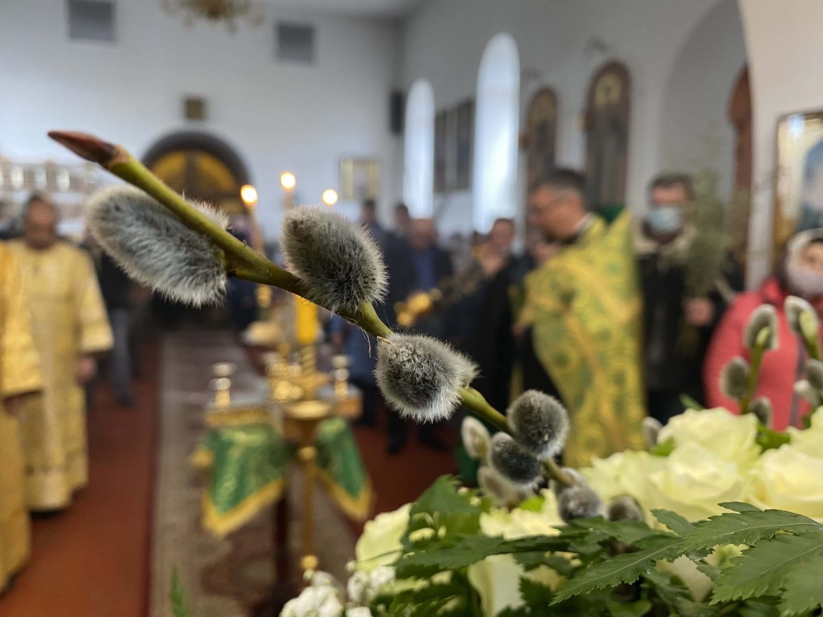 С вербным воскресеньем батюшка. Одеяние священника на Вербное воскресенье. С Вербным воскресеньем. Цвет облачения священников на Вербное воскресенье. Вербное воскресенье видео.